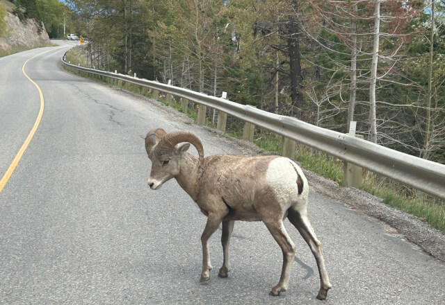 Reise durch Westkanada von Familie Stübner