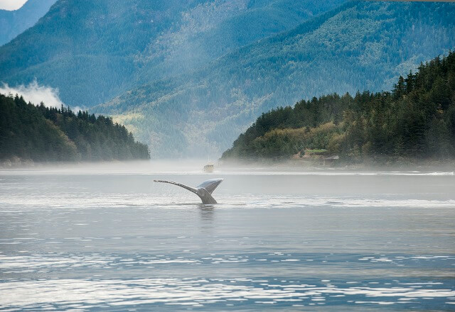 Kanada Urlaub: Das Beste vom Westen